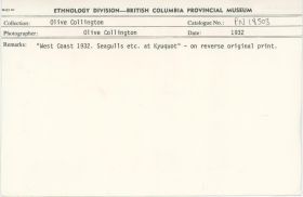 Image representing photograph.