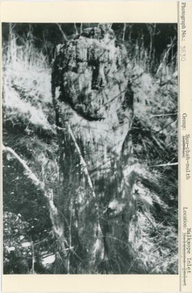 Image representing photograph.