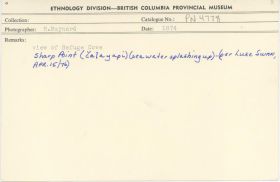 Image representing photograph.