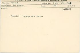 Image representing photograph.