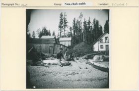 Image representing photograph.