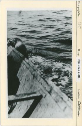 Image representing photograph.