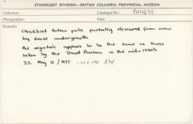 Image representing photograph.