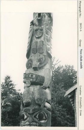 Image representing photograph.