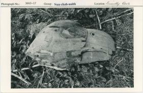 Image representing photograph.