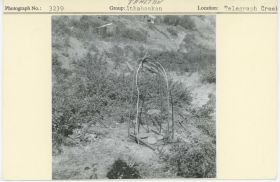 Image representing photograph.