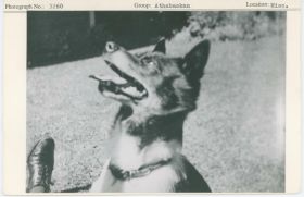 Image representing photograph.