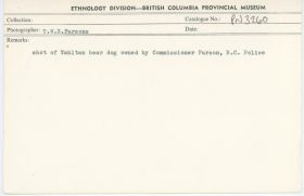 Image representing photograph.