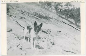 Image representing photograph.