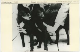 Image representing photograph.