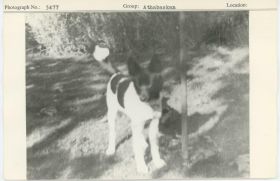 Image representing photograph.