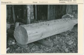 Image representing photograph.