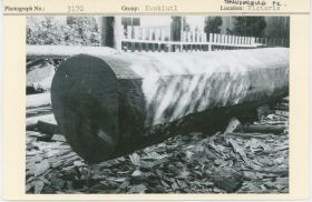 Image representing photograph.