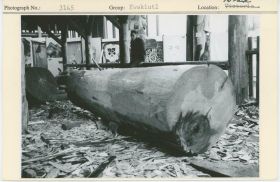 Image representing photograph.