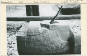 Image representing photograph.