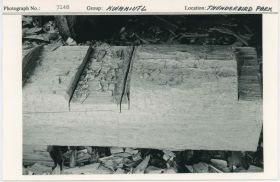 Image representing photograph.