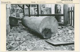 Image representing photograph.