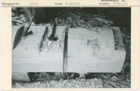 Image representing photograph.