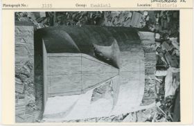 Image representing photograph.