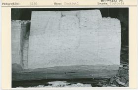 Image representing photograph.