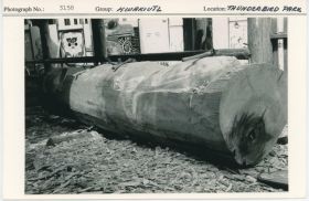 Image representing photograph.