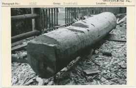 Image representing photograph.