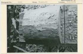 Image representing photograph.