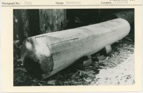 Image representing photograph.