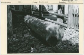 Image representing photograph.