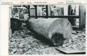 Image representing photograph.