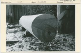 Image representing photograph.