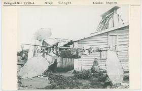 Image representing photograph.