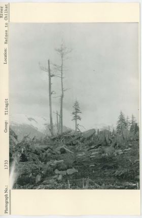 Image representing photograph.