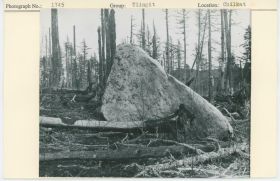 Image representing photograph.