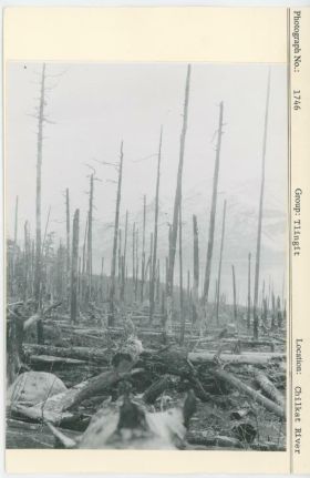 Image representing photograph.