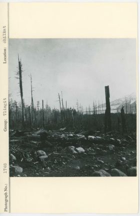 Image representing photograph.