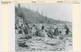 Image representing photograph.