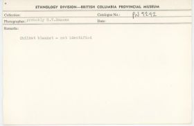 Image representing photograph.