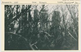 Image representing photograph.