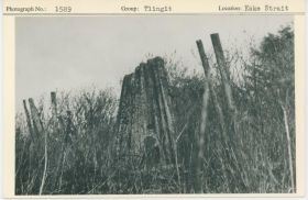 Image representing photograph.