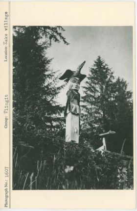 Image representing photograph.