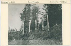 Image representing photograph.