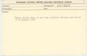 Image representing photograph.