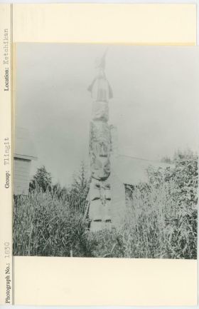 Image representing photograph.