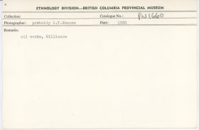 Image representing photograph.