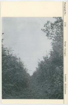 Image representing photograph.