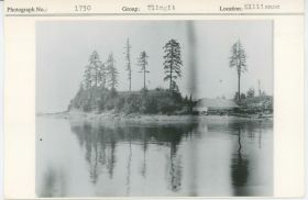 Image representing photograph.