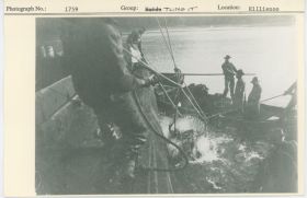 Image representing photograph.