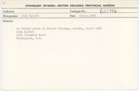 Image representing photograph.