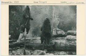 Image representing photograph.